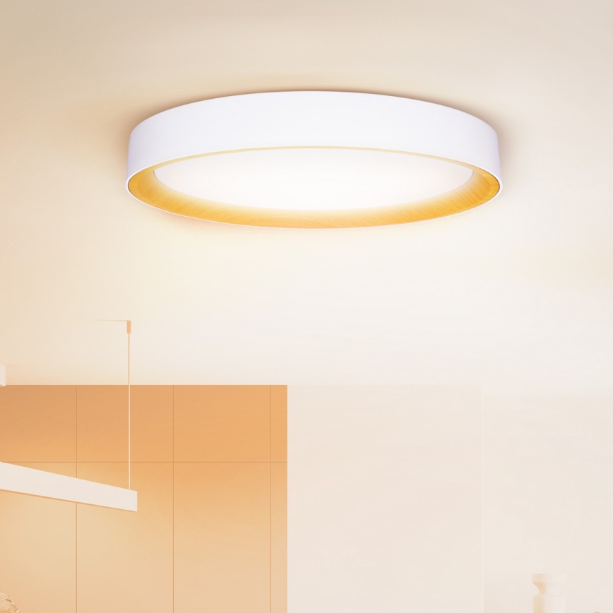 Brilagi - LED dimmerabile plafoniera LARIOS LED/72W/230V 3000-6500K bianco Ø 59 cm + telecomando
