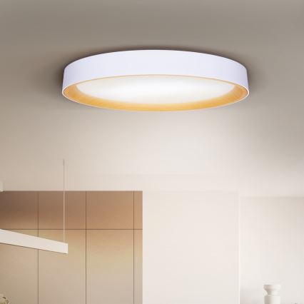 Brilagi - LED dimmerabile plafoniera LARIOS LED/72W/230V 3000-6500K bianco Ø 59 cm + telecomando