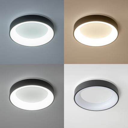 Brilagi - Plafoniera LED dimmerabile FALCON LED/40W/230V 3000-6500K Ø 45 cm nero + telecomando