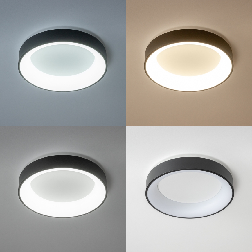 Brilagi - Plafoniera LED dimmerabile FALCON LED/40W/230V 3000-6500K Ø 45 cm nero + telecomando