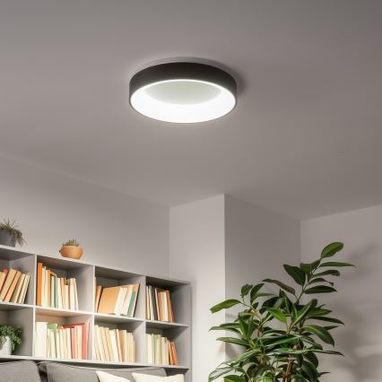Brilagi - Plafoniera LED dimmerabile FALCON LED/40W/230V 3000-6500K Ø 45 cm nero + telecomando