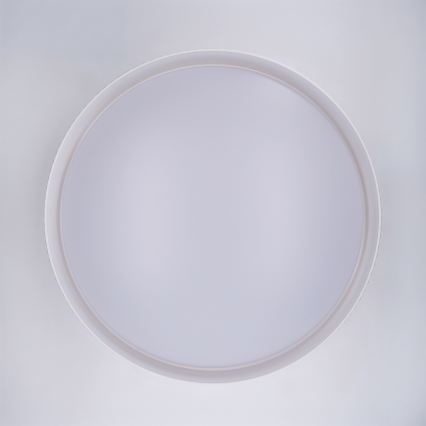 Brilagi - Plafoniera LED dimmerabile LUCIA LED/60W/230V 3000-6500K Ø 59 cm bianco + telecomando