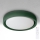 Brilagi - Plafoniera LED dimmerabile MATTEO LED/48W/230V 3000-6500K Ø 41 cm verde + telecomando incluso