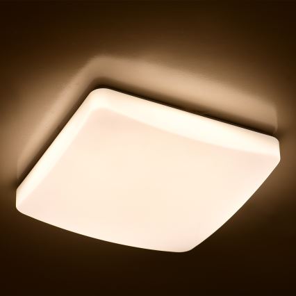 Brilagi - Plafoniera LED dimmerabile MILKY LED/24W/230V + TC 3000K-6500K