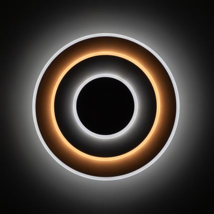 Brilagi - Plafoniera dimmerabile a LED MODERN LED/58W/230V 3000-6000K Ø 46,3 cm + telecomando