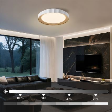 Brilagi - Plafoniera LED dimmerabile NEXO LED/48W/230V 3000-6000K bianco Ø 43 cm + telecomando