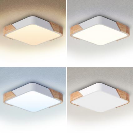 Brilagi - Plafoniera dimmerabile a LED PILANA LED/48W/230V 3000-6500K rovere/bianco 42x42 cm + telecomando