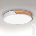 BRILAGI - Plafoniera LED dimmerabile PILANA LED/48W/230V rovere/bianco Ø 40 cm + telecomando