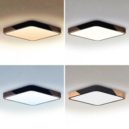 Brilagi - Plafoniera LED dimmerabile PILANA LED/48W/230V 3000-6500K rovere/nero 56x56 cm + telecomando