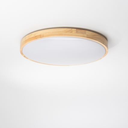 Brilagi - Plafoniera LED dimmerabile PINE LED/24W/230V + telecomando