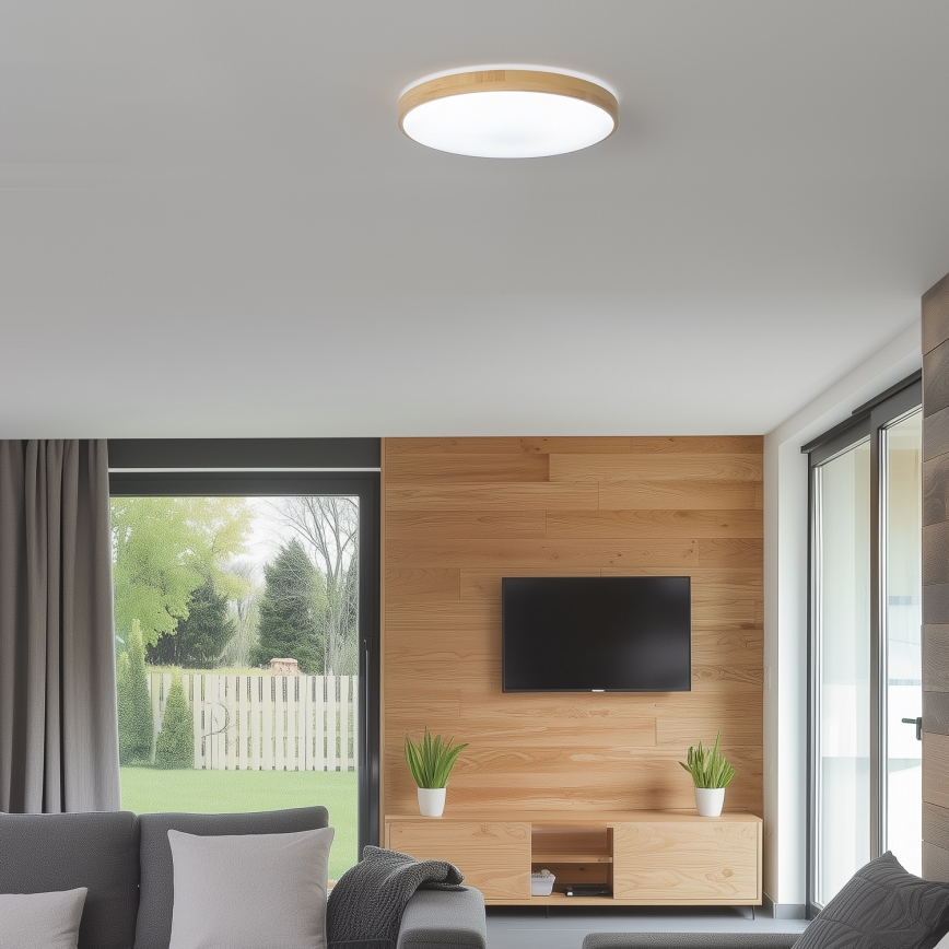 Brilagi - Plafoniera LED dimmerabile PINE LED/24W/230V + telecomando