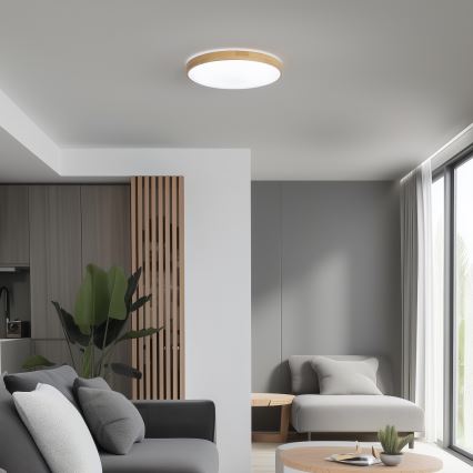 Brilagi - Plafoniera LED dimmerabile PINE LED/24W/230V + telecomando