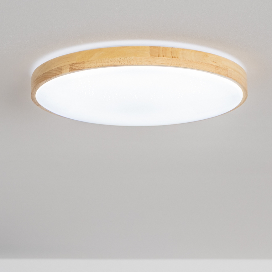 Brilagi - Plafoniera LED dimmerabile PINE LED/24W/230V + telecomando