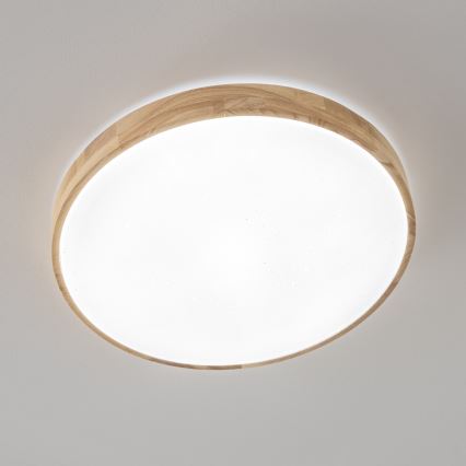 Brilagi - Plafoniera LED dimmerabile PINE LED/24W/230V + telecomando