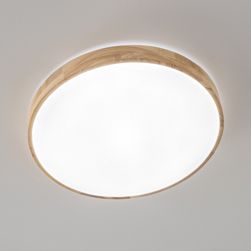 Brilagi - Plafoniera LED dimmerabile PINE LED/24W/230V + telecomando