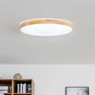 Brilagi - Plafoniera LED dimmerabile PINE LED/60W/230V Ø 52 cm 3000-6500K + telecomando