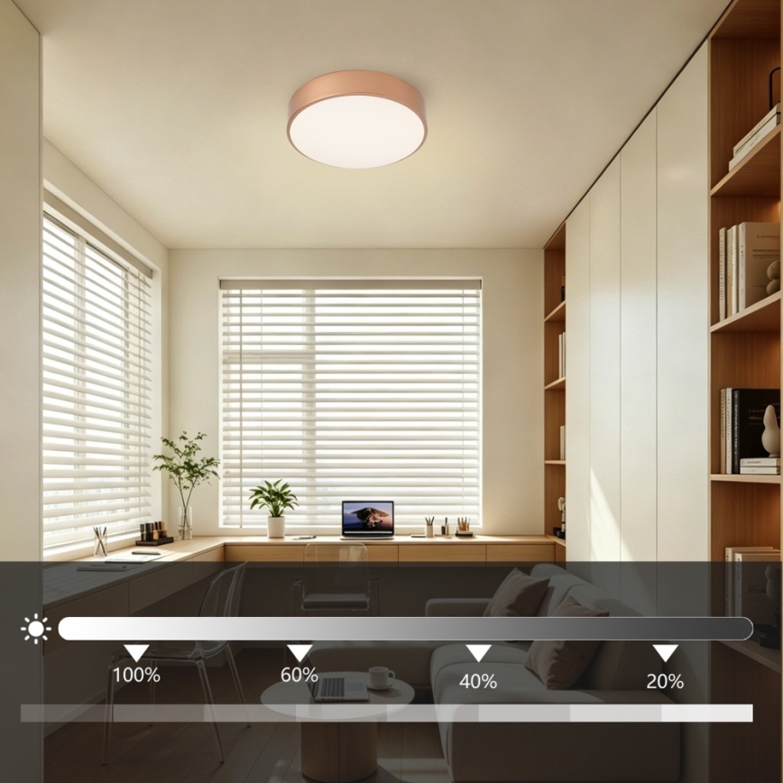 BRILAGI - Plafoniera LED dimmerabile POOL LED/24W/230V 3000-6000K Ø 20 cm rame + telecomando