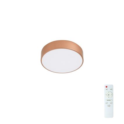 BRILAGI - Plafoniera LED dimmerabile POOL LED/24W/230V 3000-6000K Ø 20 cm rame + telecomando