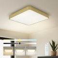 Brilagi - Plafoniera LED dimmerabile POOL LED/36W/230V 3000-6000K 40x40 cm oro + telecomando