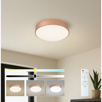 Brilagi - Plafoniera LED dimmerabile POOL LED/36W/230V 3000-6000K diam. 30 cm bronzo + telecomando