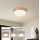 Brilagi - Plafoniera LED dimmerabile POOL LED/36W/230V 3000-6000K diam. 30 cm bronzo + telecomando