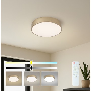 Brilagi - Plafoniera LED dimmerabile POOL LED/36W/230V 3000-6000K Ø 30 cm dorata + telecomando
