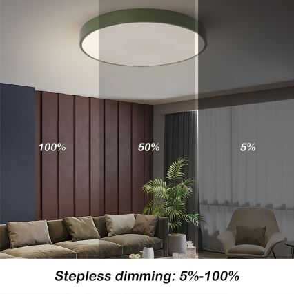 Brilagi - Lampada da soffitto LED dimmerabile POOL LED/60W/230V 3000-6000K Ø 60 cm verde + telecomando