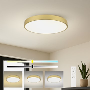 Brilagi - Plafoniera LED dimmerabile POOL SMART LED/100W/230V 3000-6000K 80 cm dorata Wi‑Fi Tuya + telecomando