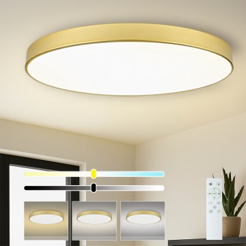 Brilagi - Plafoniera LED dimmerabile POOL SMART LED/180W/230V 3000-6000K 120 cm dorata Wi-Fi Tuya + telecomando