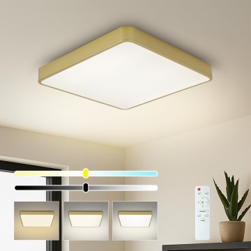 Brilagi - Plafoniera LED dimmerabile POOL SQUARE LED/36W/230V 3000-6000K 40x40 cm oro + telecomando