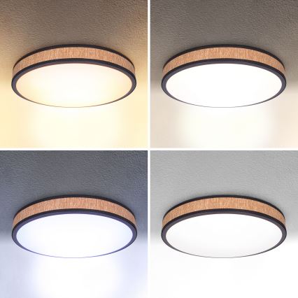 Brilagi - Plafoniera LED dimmerabile ROSA LED/48W/230V 3000-6500K diametro 38 cm + telecomando