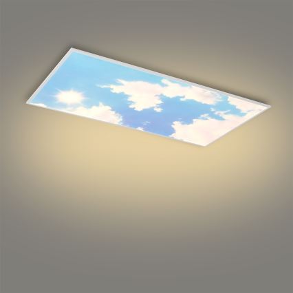 Brilagi - Plafoniera LED dimmerabile SLIMFRAME LED/80W/230V 120x60 cm 3000-6000K argento/blu + telecomando