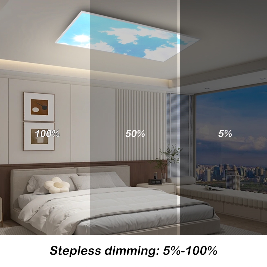 Brilagi - Plafoniera da soffitto dimmerabile LED SLIMFRAME SKY LED/80W/230V 120x60 cm 3000-6000K argento/blu + telecomando