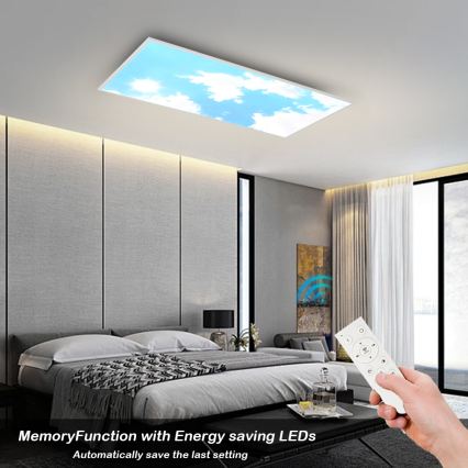 Brilagi - Plafoniera da soffitto dimmerabile LED SLIMFRAME SKY LED/80W/230V 120x60 cm 3000-6000K argento/blu + telecomando