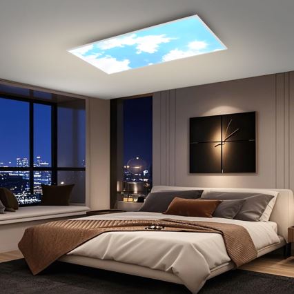 Brilagi - Plafoniera da soffitto dimmerabile LED SLIMFRAME SKY LED/80W/230V 120x60 cm 3000-6000K argento/blu + telecomando