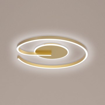 Brilagi - Plafoniera LED dimmerabile SPIRAL LED/56W/230V Ø 50 cm 3000/4000/6000K + telecomando