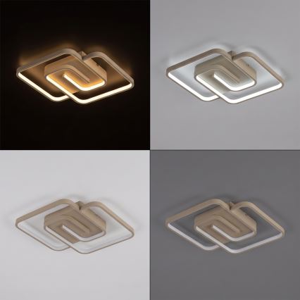BRILAGI - Plafoniera LED dimmerabile VELO LED/64W/230V 3000-6500K 48x48 cm beige + telecomando