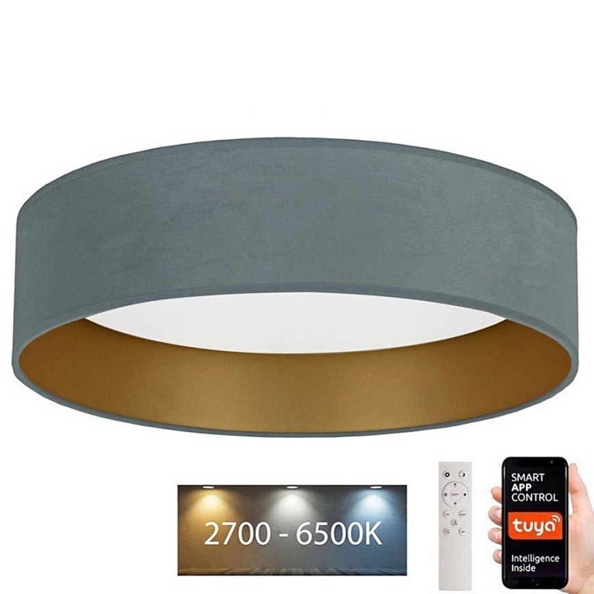 Brilagi - Plafoniera LED dimmerabile VELVET SMART LED/24W/230V d. 45 cm 2700-6500K Wi-Fi Tuya menta/oro + telecomando