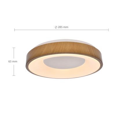 Brilagi - Plafoniera LED DORIA LED/24W/230V