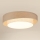 Brilagi - Plafoniera LED DOVER SHINE LED/26W/230V diametro 60 cm grigio/color crema
