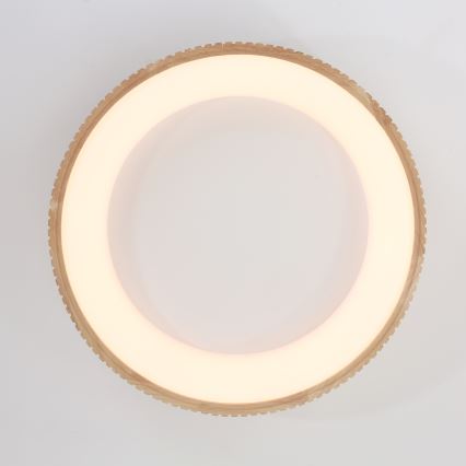 Brilagi - Plafoniera LED FALCON WOOD MODERN LED/40W/230V 3000/4000/6000K Ø 60 cm in legno