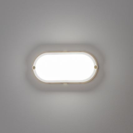 Brilagi - Plafoniera LED industriale SIMA LED/12W/230V IP65 bianco