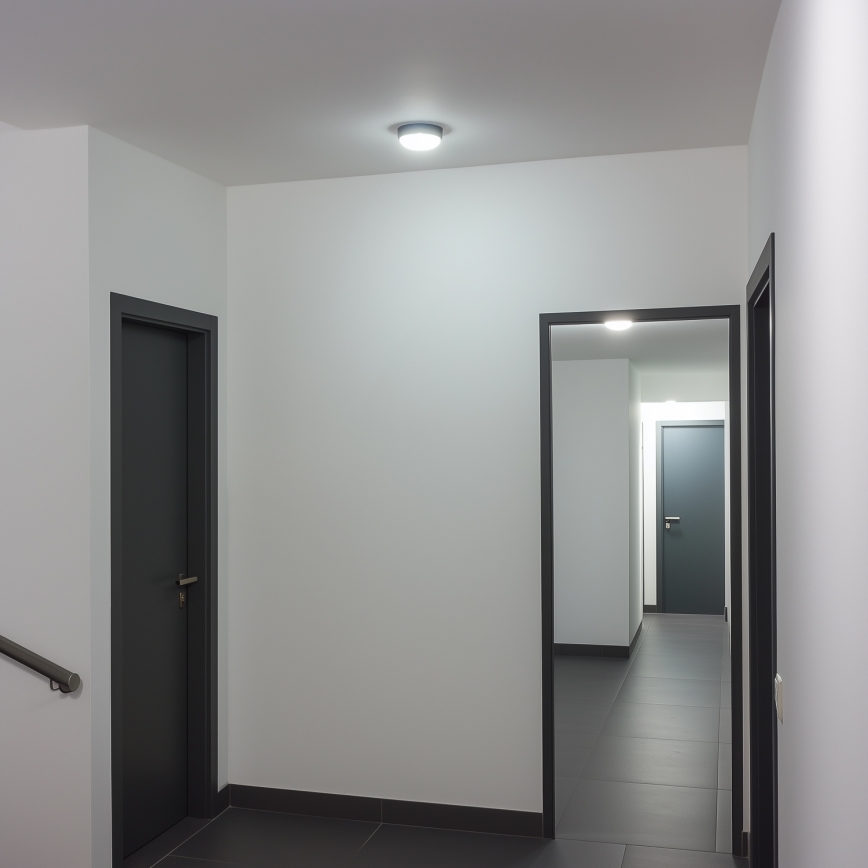 Brilagi - Plafoniera LED industriale SIMA LED/12W/230V IP65 nero