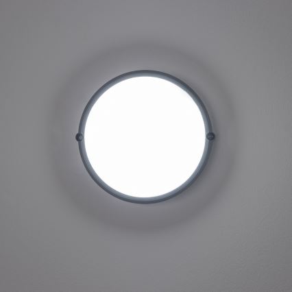 Brilagi - Plafoniera LED industriale SIMA LED/12W/230V IP65 nero