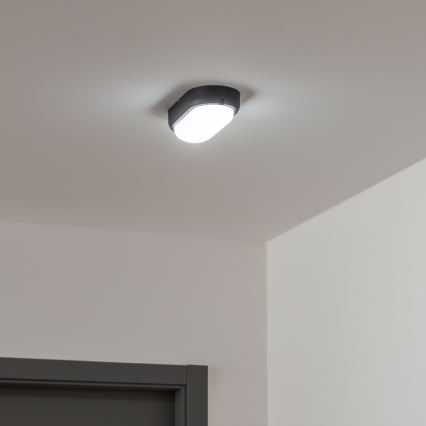 Brilagi - Plafoniera LED industriale SIMA LED/12W/230V IP65 nero