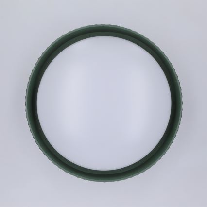 Brilagi - Plafoniera LED LUCIA LED/24W/230V Ø 31 cm verde