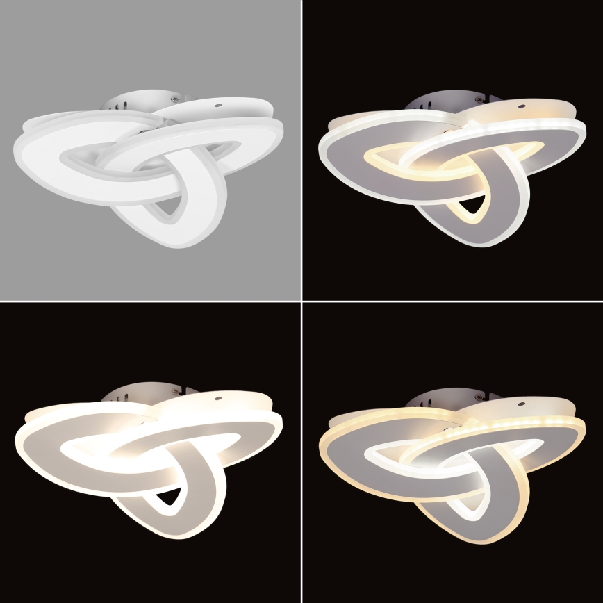 Brilagi - Plafoniera LED dimmerabile MODERN MINI LED/49W/230V 3000/4000/6000K + telecomando