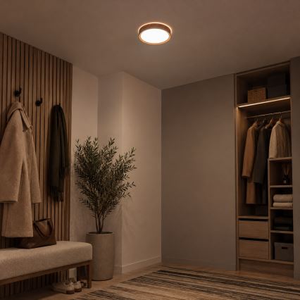 BRILAGI - Plafoniera LED NATURA LED/12W/230V 4000K Ø 26,3 cm