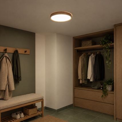 BRILAGI - Plafoniera LED NATURA LED/24W/230V 4000K Ø 38,3 cm
