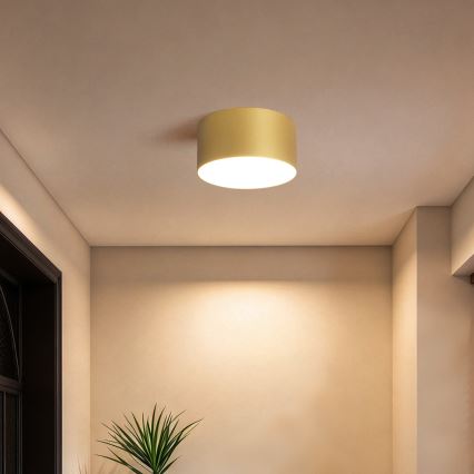 BRILAGI - LED Plafoniera da bagno FORIS LED/14W/230V Ø 12 cm dorata IP44